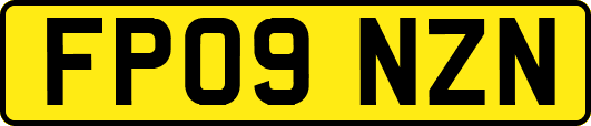 FP09NZN