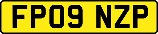 FP09NZP
