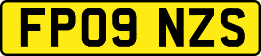 FP09NZS