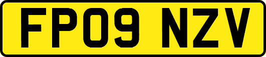 FP09NZV