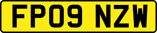 FP09NZW