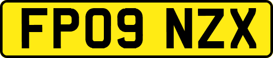 FP09NZX