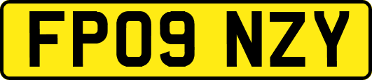 FP09NZY