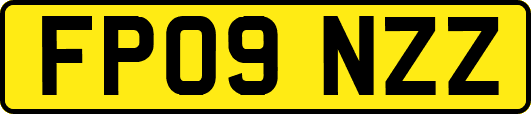 FP09NZZ