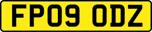 FP09ODZ
