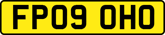 FP09OHO