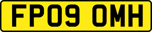FP09OMH