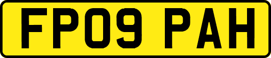 FP09PAH