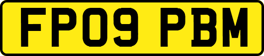 FP09PBM