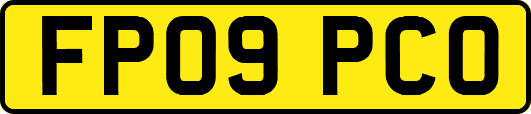FP09PCO