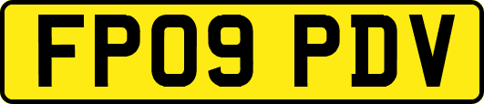 FP09PDV