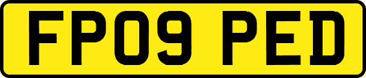 FP09PED