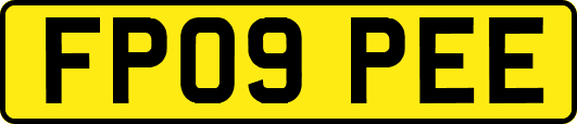 FP09PEE