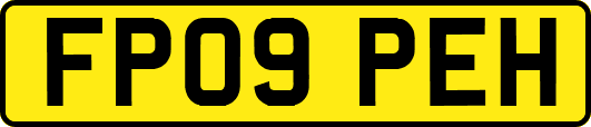 FP09PEH