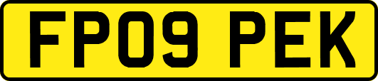 FP09PEK