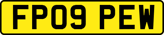 FP09PEW