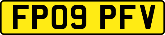 FP09PFV