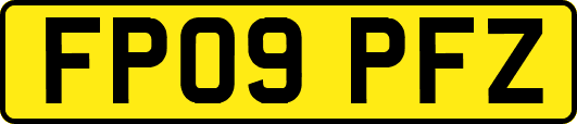 FP09PFZ