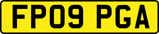 FP09PGA