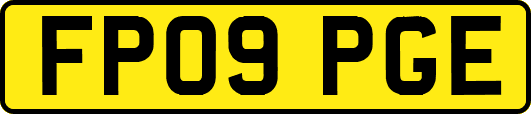 FP09PGE
