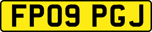 FP09PGJ