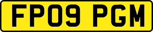 FP09PGM