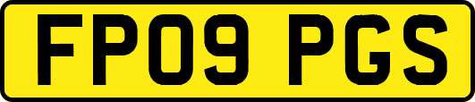 FP09PGS