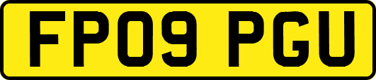 FP09PGU