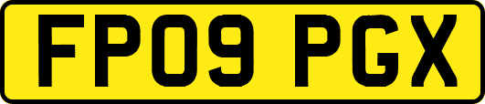 FP09PGX