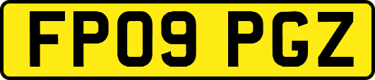 FP09PGZ