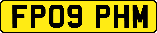 FP09PHM