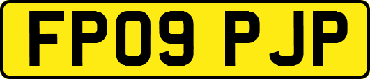 FP09PJP