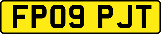 FP09PJT
