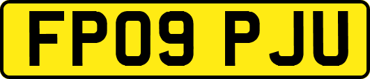 FP09PJU