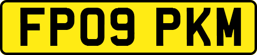 FP09PKM
