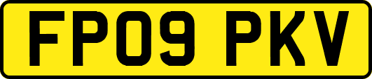 FP09PKV