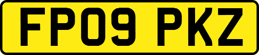 FP09PKZ