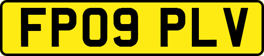 FP09PLV