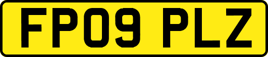 FP09PLZ