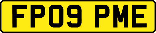 FP09PME