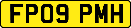 FP09PMH