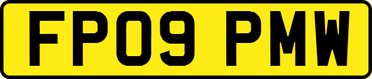 FP09PMW