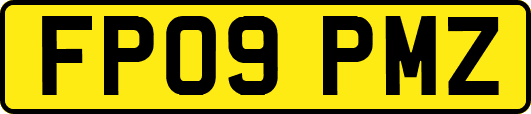 FP09PMZ
