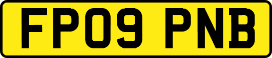 FP09PNB