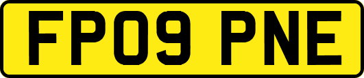 FP09PNE