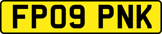 FP09PNK