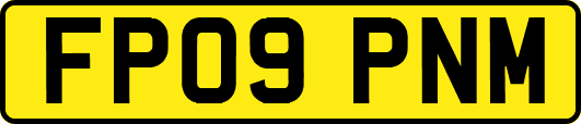 FP09PNM