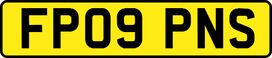 FP09PNS