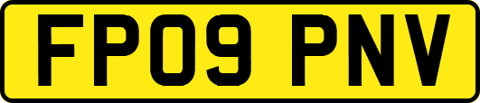 FP09PNV