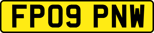 FP09PNW